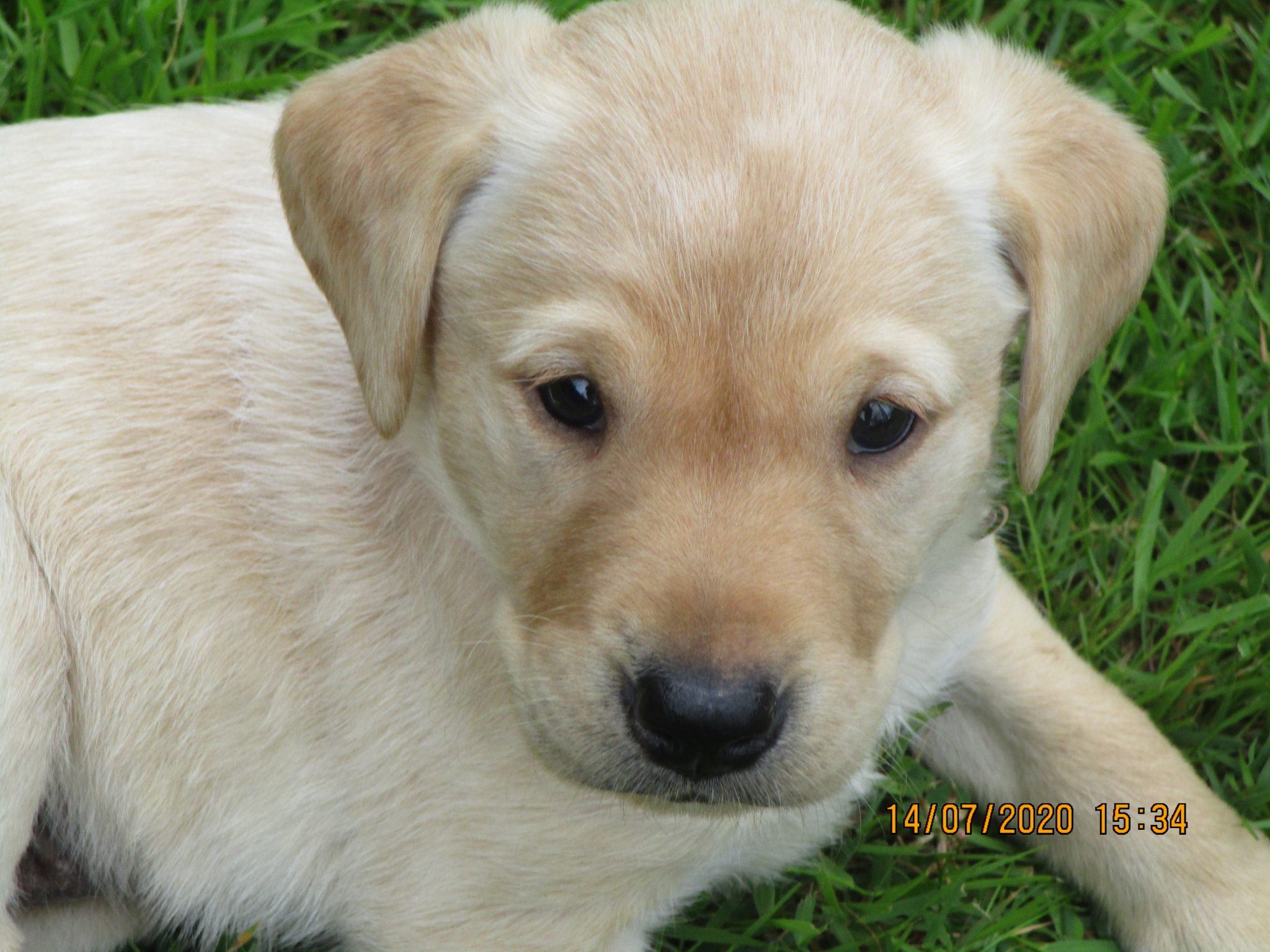 Furkids Born 8th June;