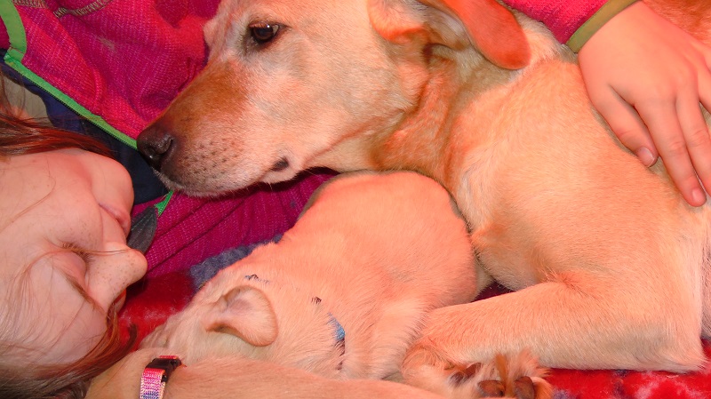 Furkids, born 11th of November 2019: Pics taken approx 10 days old - Image 20