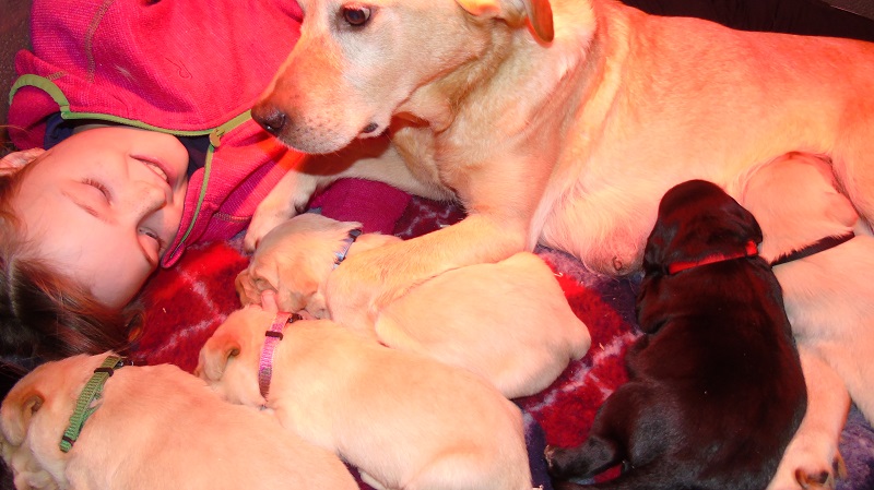 Furkids, born 11th of November 2019: Pics taken approx 10 days old - Image 18