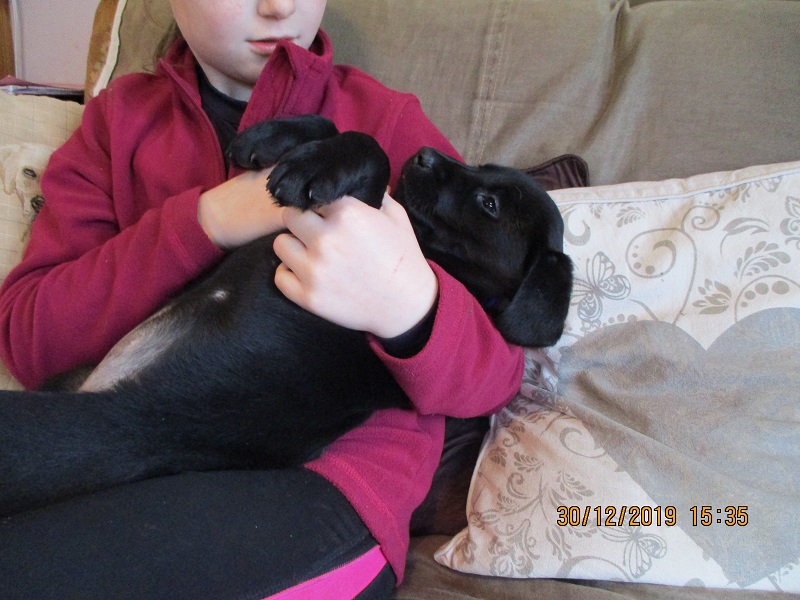 Furkids born 11th Nov 2019, pics taken 30th Dec 2019 - Image 5