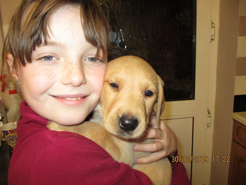 Furkids born 11th Nov 2019, pics taken 30th Dec 2019 - Image 30