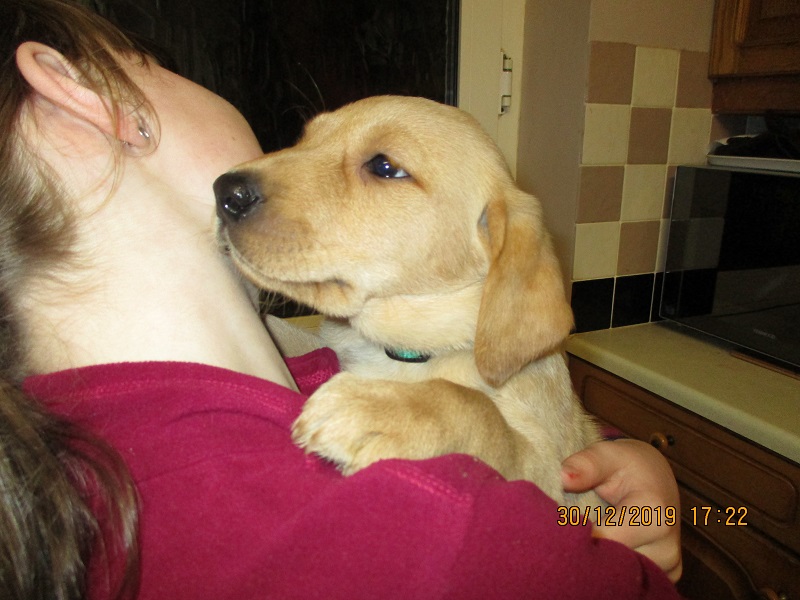Furkids born 11th Nov 2019, pics taken 30th Dec 2019 - Image 32